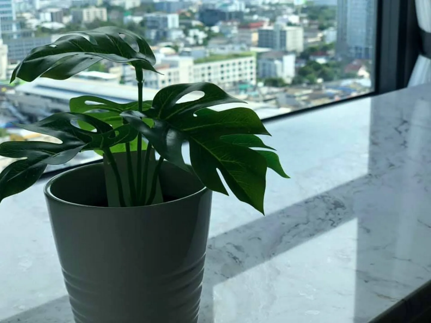 Ideo Sukhumvit 93 — photo 8