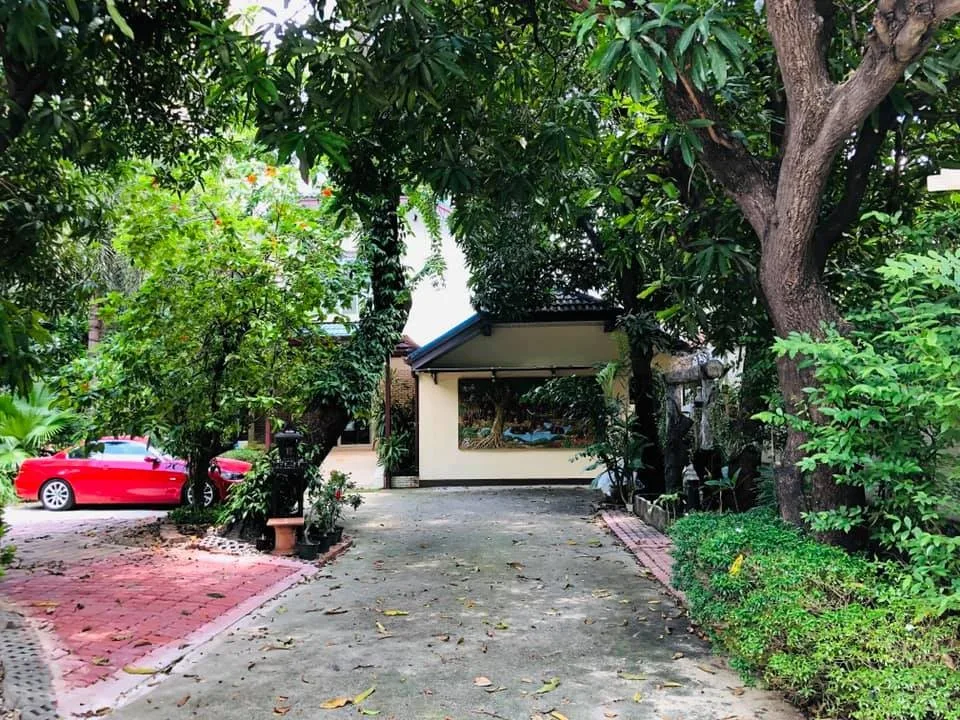Single House Suk 31 Yeak 4 — photo 11
