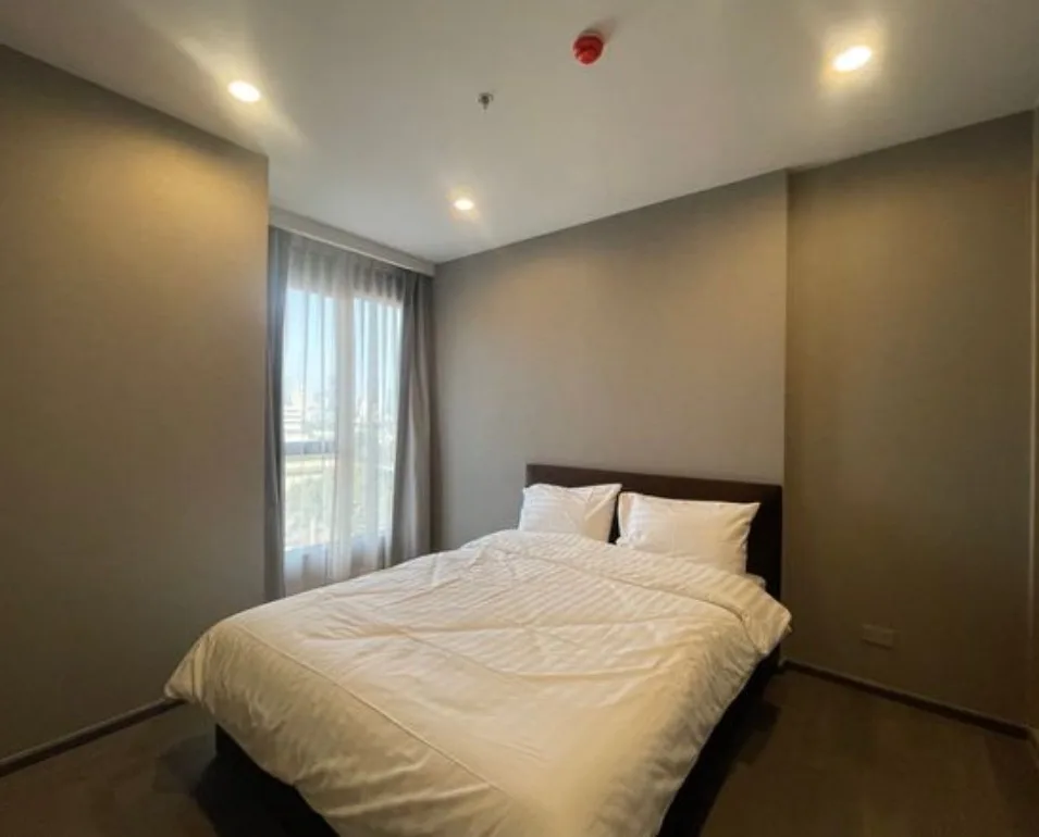 Coco Parc — photo 5