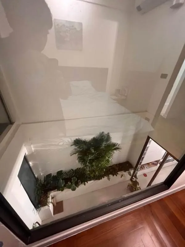 Townhouse Suamplu 1 — photo 6