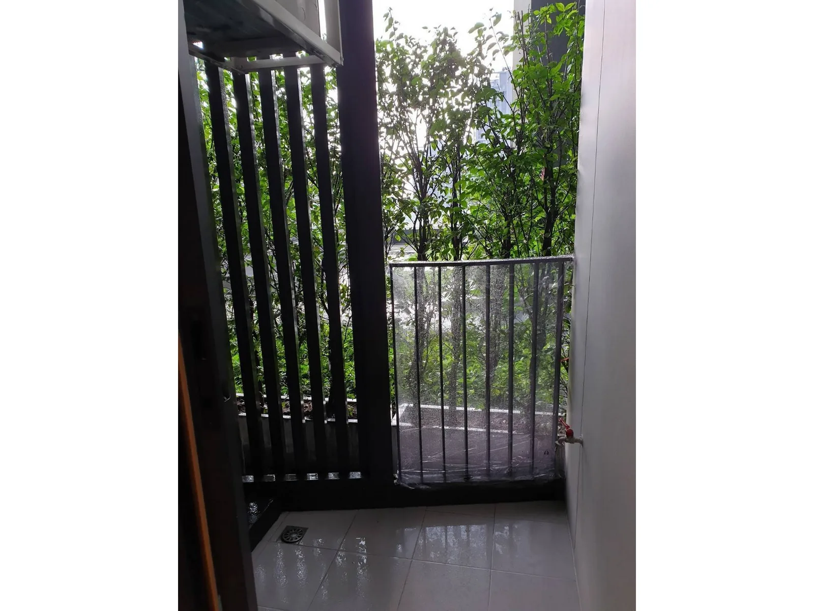 Rhythm Ekkamai — photo 6