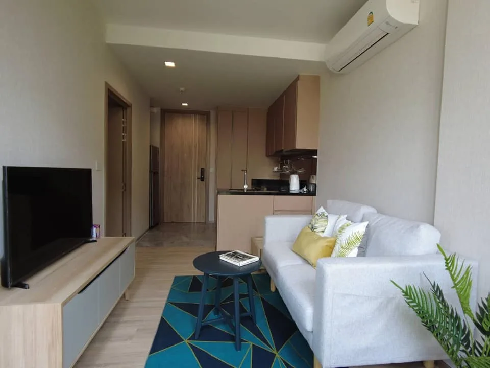 KAWA HAUS — photo 7