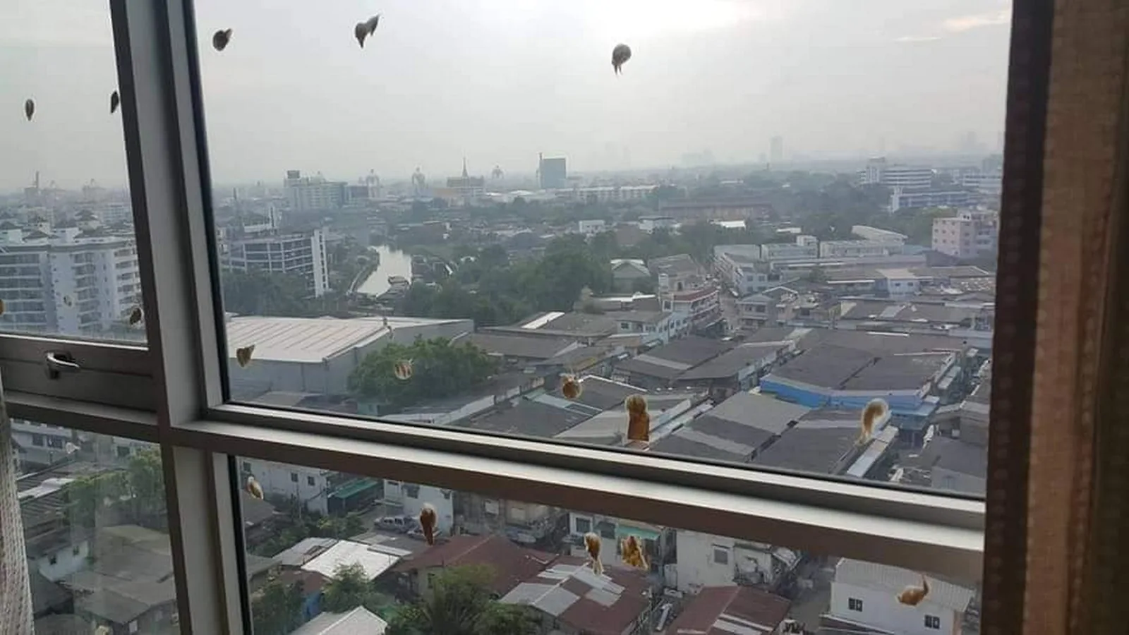 Aspire Sukhumvit 48 — photo 8